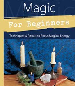 Practical Magic for Beginners by Brandy Williams